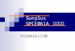 Sunplus SPCE061A  微控制器