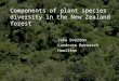 Components of plant species diversity in the New Zealand forest