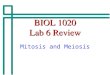 BIOL 1020 Lab 6 Review