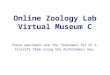 Online Zoology Lab Virtual Museum C