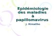 Epidémiologie des maladies  à papillomavirus