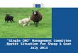 "Single CMO" Management Committee Market Situation  for Sheep & Goat July 2013