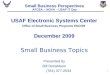 Small Business Perspectives AFCEA â€“ NOVA â€“ USAF IT Day