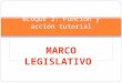 BLOQUE 2: Función y acción tutorial MARCO LEGISLATIVO