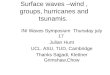 Surface waves –wind , groups, hurricanes and tsunamis