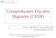 Comprobantes Fiscales Digitales (CFDI)