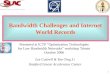Achieving High Throughput on Fast Networks (Bandwidth Challenges and World Records)