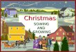 Christmas : SOWING    AND    GROWING