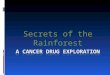 A cancer drug exploration