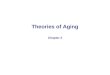 Theories of Aging Chapter 2