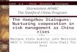 The Hangzhou Dialogues:  Nurturing cooperation in risk management as China rises