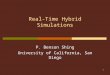 Real-Time Hybrid Simulations