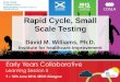 Rapid Cycle, Small Scale Testing David M. Williams, Ph.D. Institute for healthcare Improvement