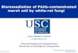 Bioremediation of PAHs-contaminated marsh soil by white-rot fungi