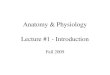 Anatomy & Physiology Lecture #1 - Introduction