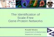 The Identification of  Scale-Free  Gene-Protein Networks