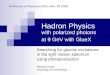 Hadron Physics  with polarized photons at 9 GeV with GlueX