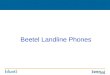 Beetel Landline Phones