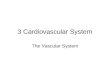 3 Cardiovascular System