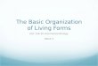 The Basic Organization of Living Forms