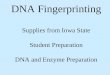 DNA Fingerprinting Supplies from Iowa State Student Preparation DNA and Enzyme Preparation