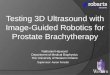 Testing 3D Ultrasound with Image-Guided Robotics for Prostate Brachytherapy