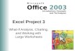 Excel Project 3