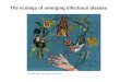The ecology of emerging infectious disease