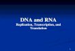 DNA and RNA Replication, Transcription, and Translation