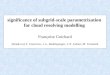 significance of subgrid-scale parametrization  for cloud resolving modelling