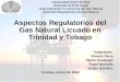 Aspectos Regulatorios del Gas Natural Licuado en Trinidad y Tobago Integrantes: Rómulo Parra