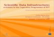 Scientific Data Infrastructure: activities in the Capacities Programme of FP7