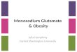 Monosodium Glutamate  & Obesity