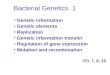 Bacterial Genetics  1 Genetic information   Genetic elements   Replication