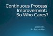 Continuous Process  Improvement:  So Who Cares?