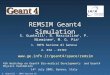 REMSIM Geant4 Simulation