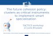 Claus  Schultze , Policy Analyst, European Commission, DG REGIO, claus.schultze@ec