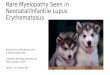 Rare Myelopathy Seen in Neonatal/Infantile Lupus Erythematosus