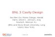 BNL 3 Cavity Design
