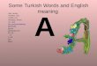 Some Turkish Words and English meaning
