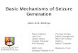 Basic Mechanisms of Seizure Generation