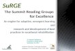 The Summit Reading Groups for Excellence