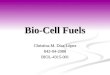 Bio-Cell Fuels