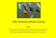 Life Science Boot Camp