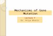 Mechanisms of Gene Mutation