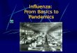 Influenza:  From Basics to Pandemics