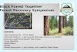 Black Forest Together  Forest Recovery Symposium
