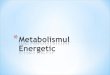 Metabolismul  Energetic