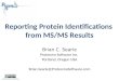 Reporting Protein Identifications  from MS/MS Results