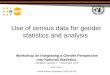 Use of census data for gender statistics and analysis